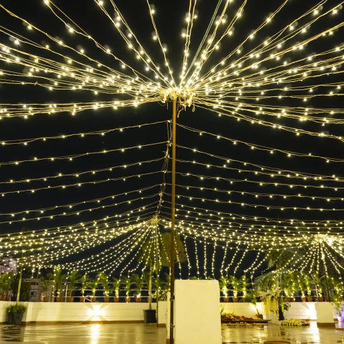 WhatsApp Image 2026-02-11 at 1.56.24 AM (2)